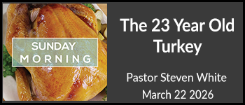 The Twenty-Three Year Old Turkey